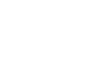 Evolution games at Vip Club Club Casino
